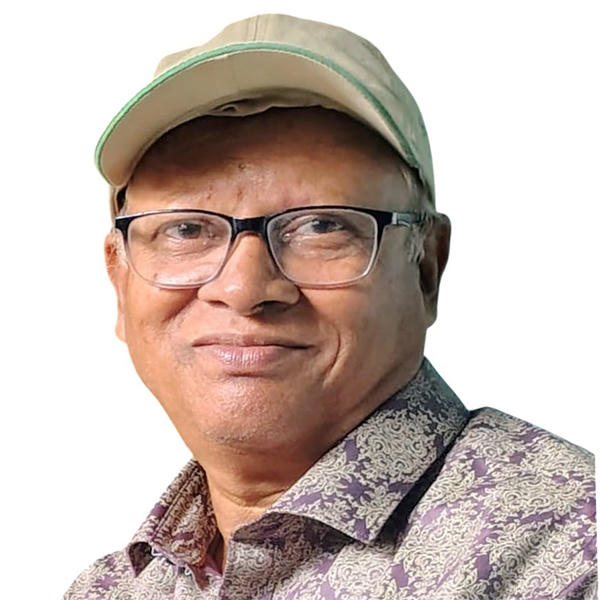 member-0141 member-0141